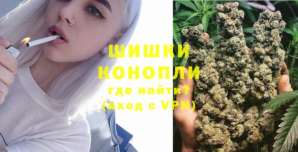 PSILOCYBIN Богородицк