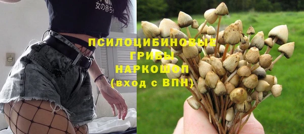 каннабис Арсеньев