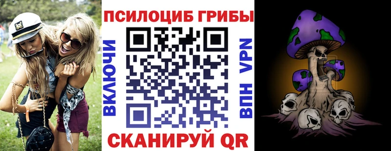 hydra   Певек  Псилоцибиновые грибы мухоморы 